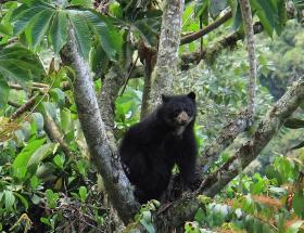 Wildlife Observation Nature Experience Photography Recreation